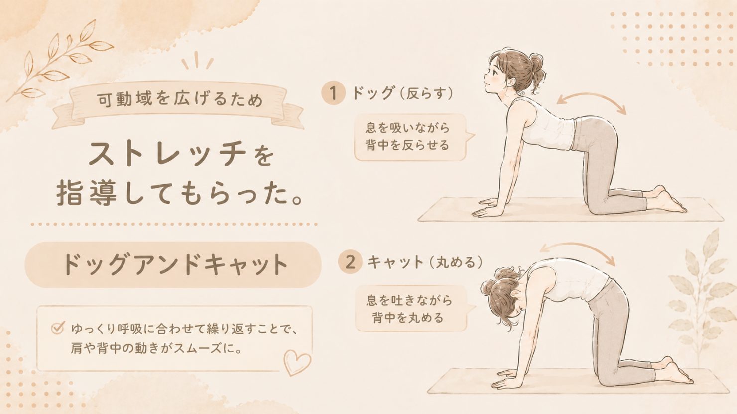 可動域を広げるために指導してもらったストレッチ「ドッグアンドキャット」の図解。1.ドッグは息を吸いながら背中を反らせる 2.キャットは息を吐きながら背中を丸める